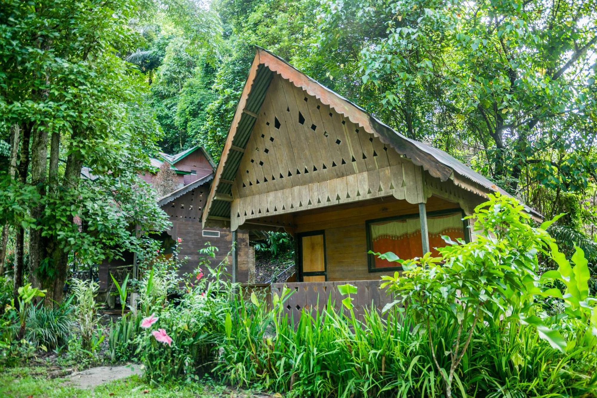 Pak Mus Guest House Ketambe - 0813-7072-1793 Kutacane Buitenkant foto