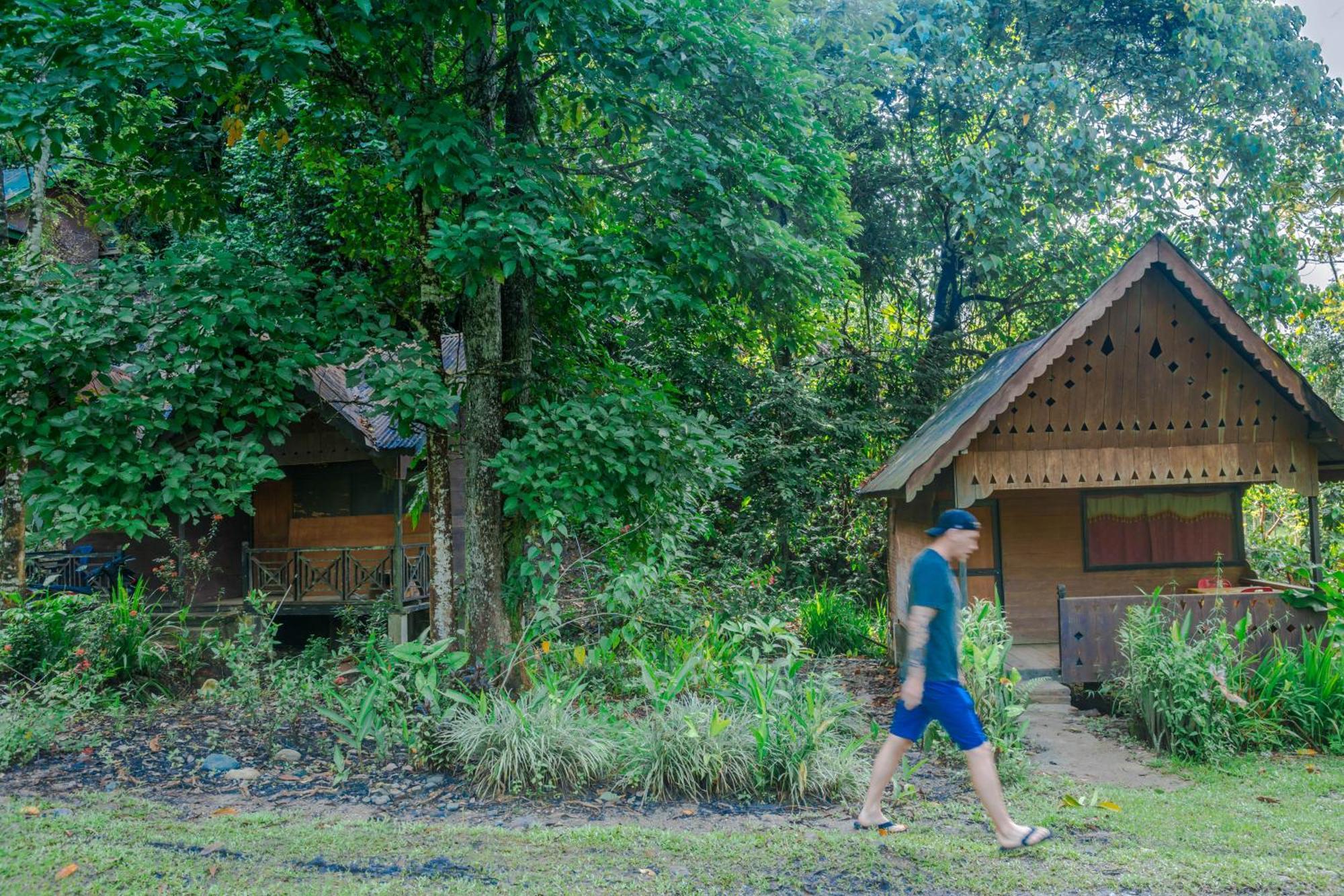 Pak Mus Guest House Ketambe - 0813-7072-1793 Kutacane Buitenkant foto