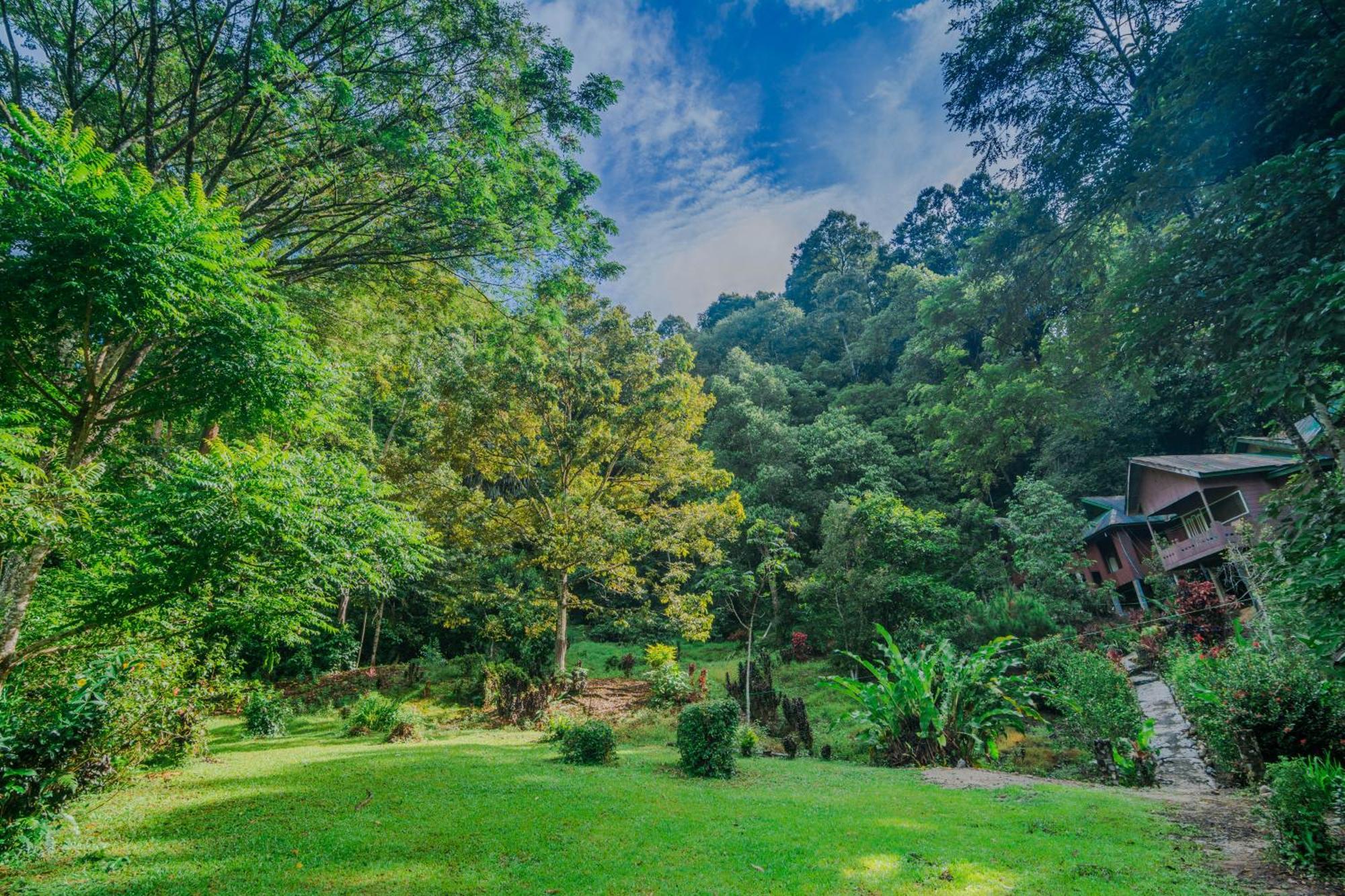 Pak Mus Guest House Ketambe - 0813-7072-1793 Kutacane Buitenkant foto