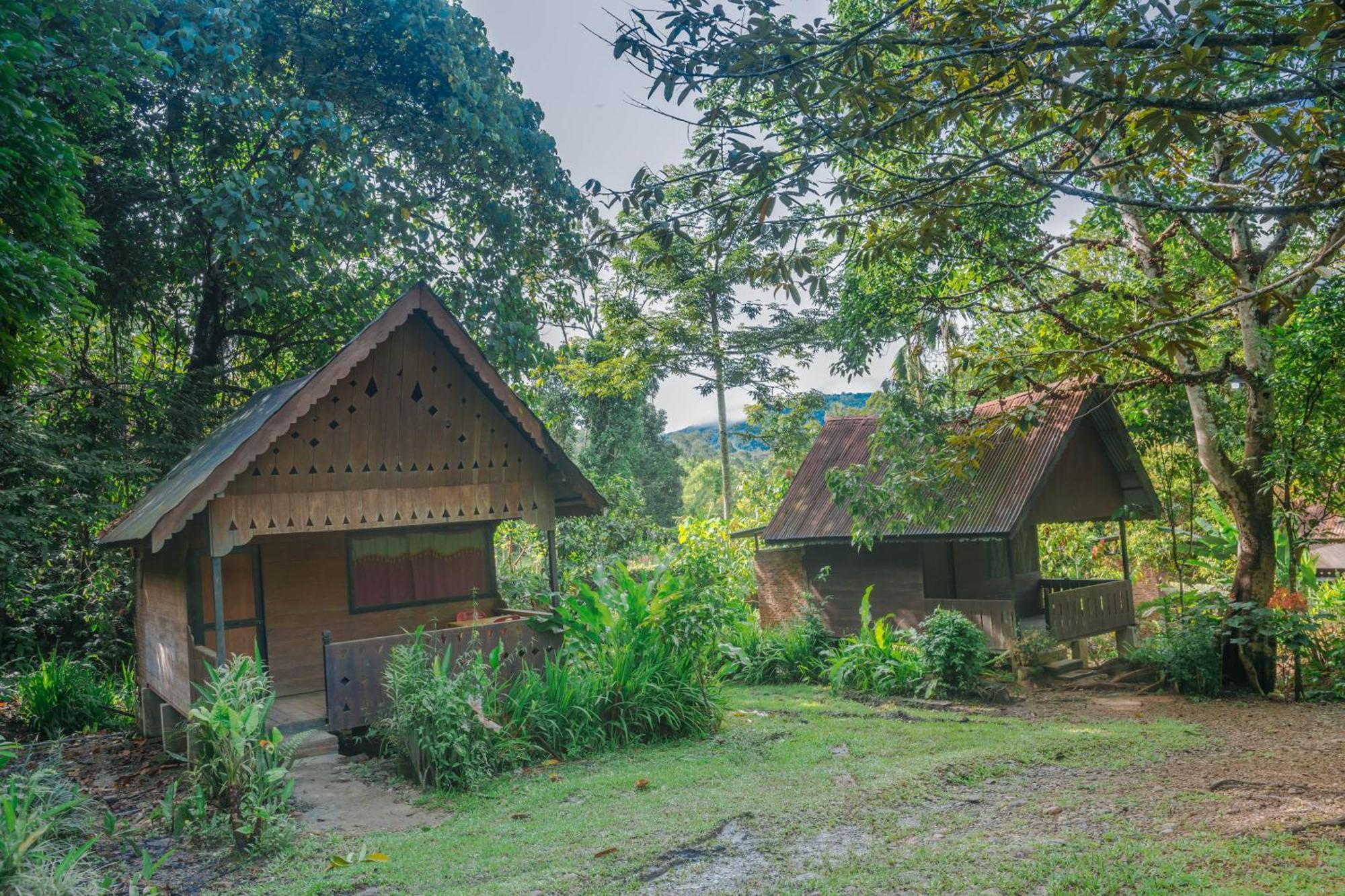 Pak Mus Guest House Ketambe - 0813-7072-1793 Kutacane Buitenkant foto