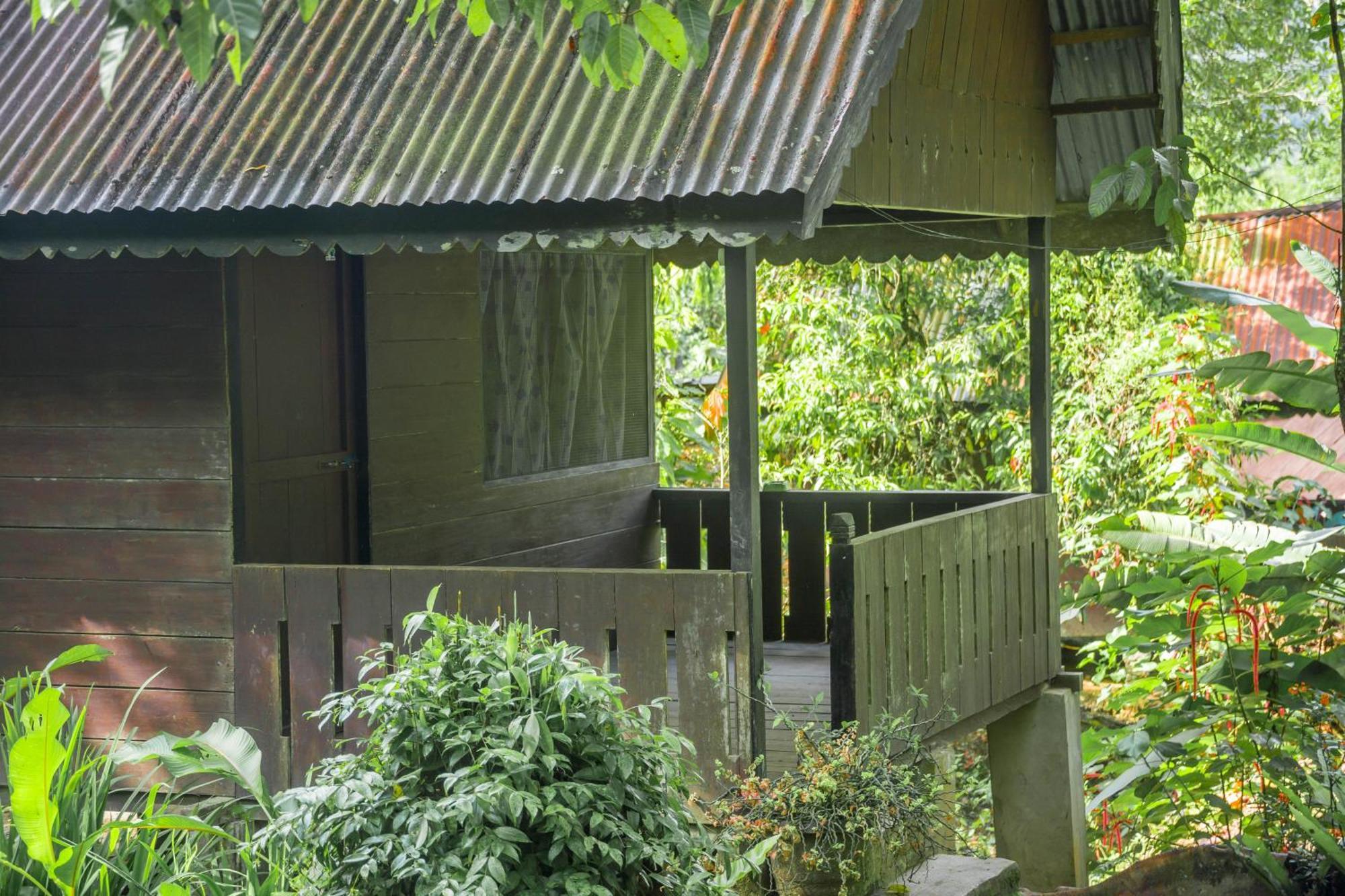 Pak Mus Guest House Ketambe - 0813-7072-1793 Kutacane Buitenkant foto