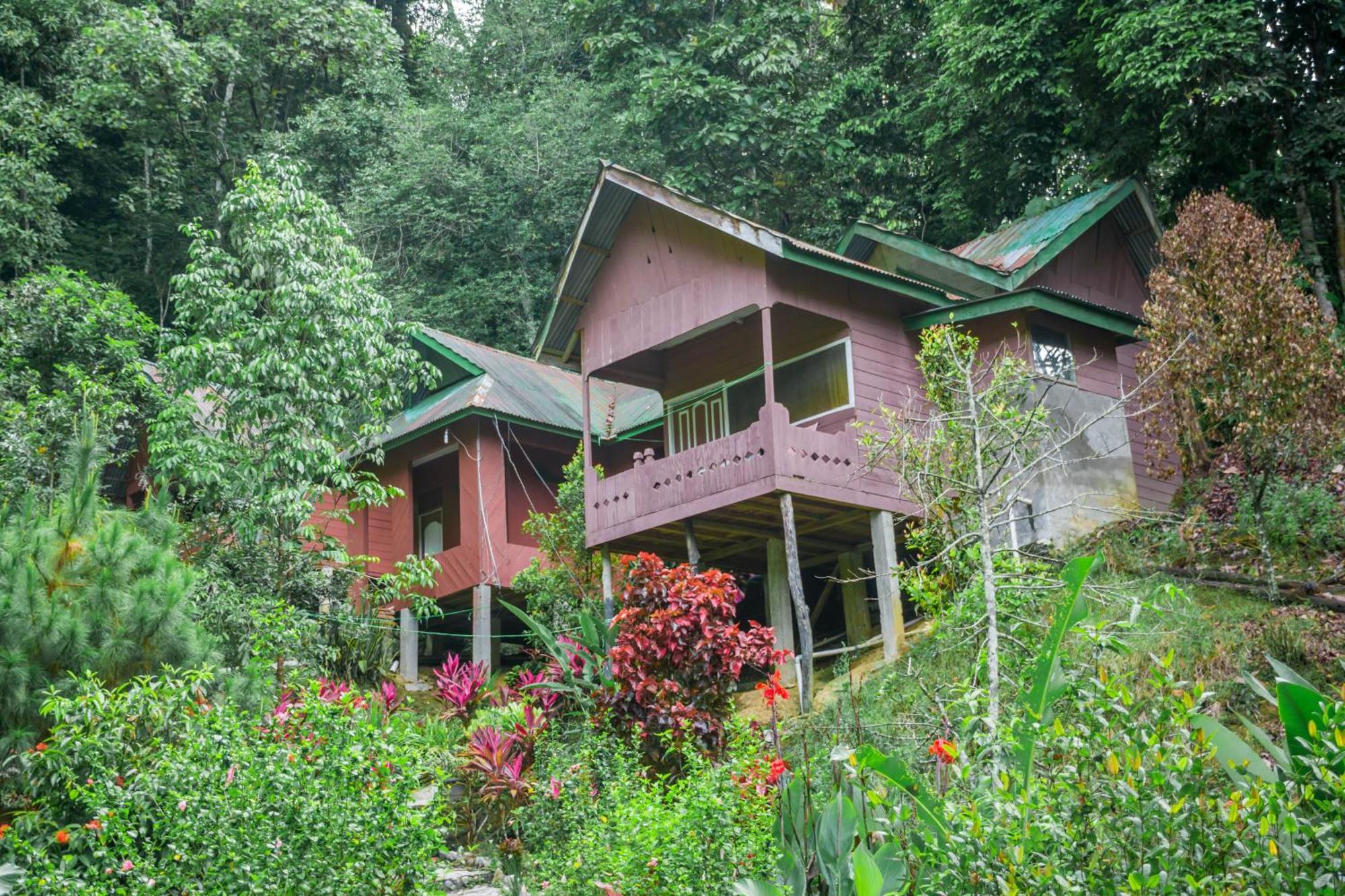 Pak Mus Guest House Ketambe - 0813-7072-1793 Kutacane Buitenkant foto