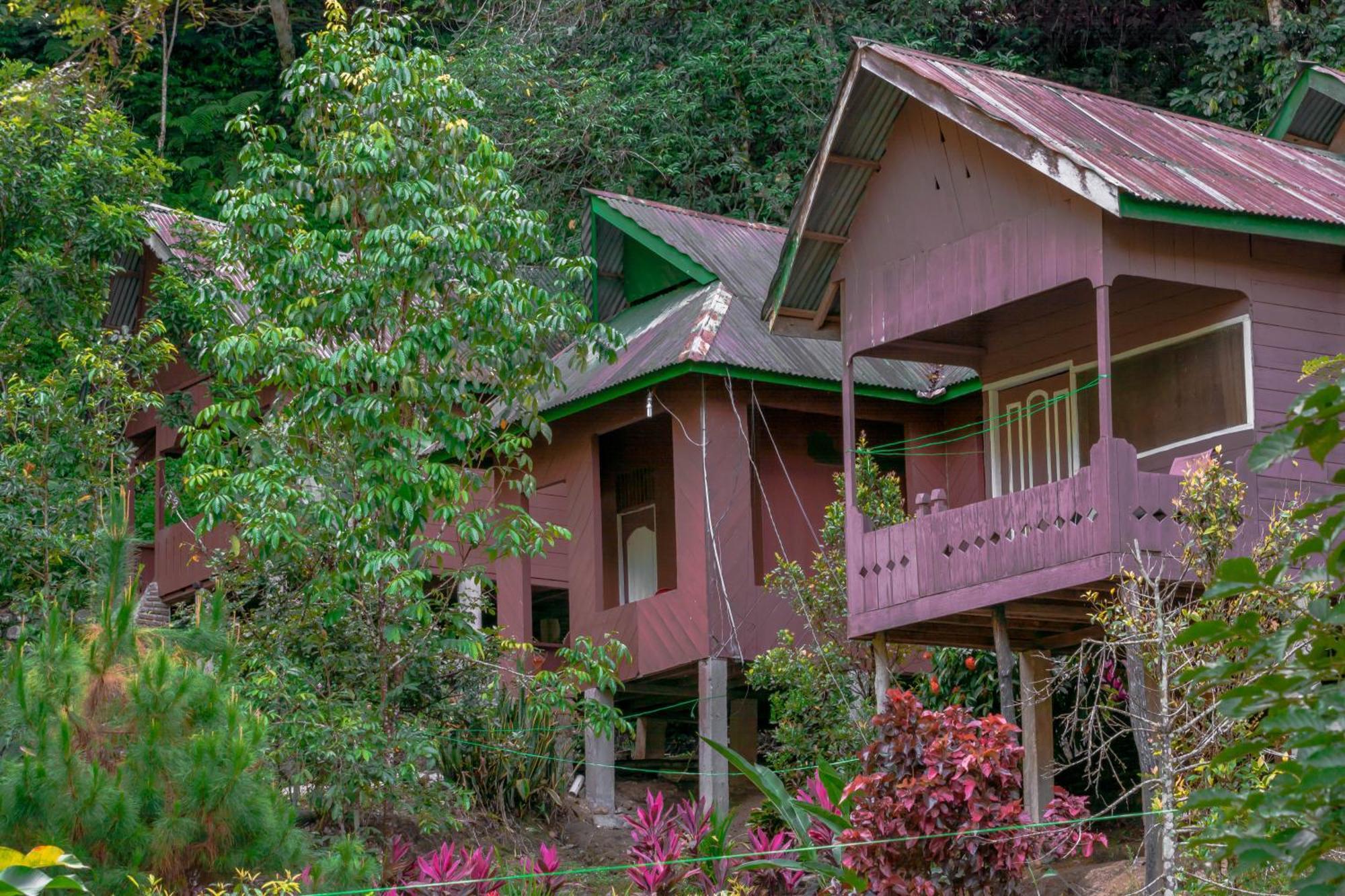 Pak Mus Guest House Ketambe - 0813-7072-1793 Kutacane Buitenkant foto