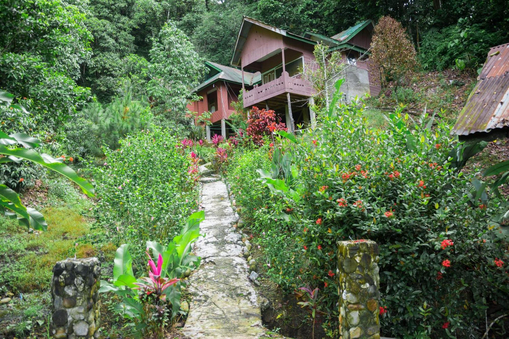 Pak Mus Guest House Ketambe - 0813-7072-1793 Kutacane Buitenkant foto