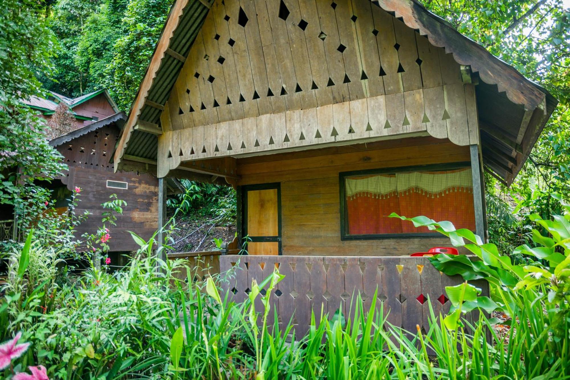 Pak Mus Guest House Ketambe - 0813-7072-1793 Kutacane Buitenkant foto
